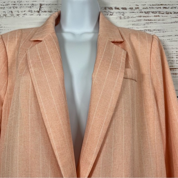Skies Are Blue Pink Striped Button Lined Blazer - Picture 2 of 14